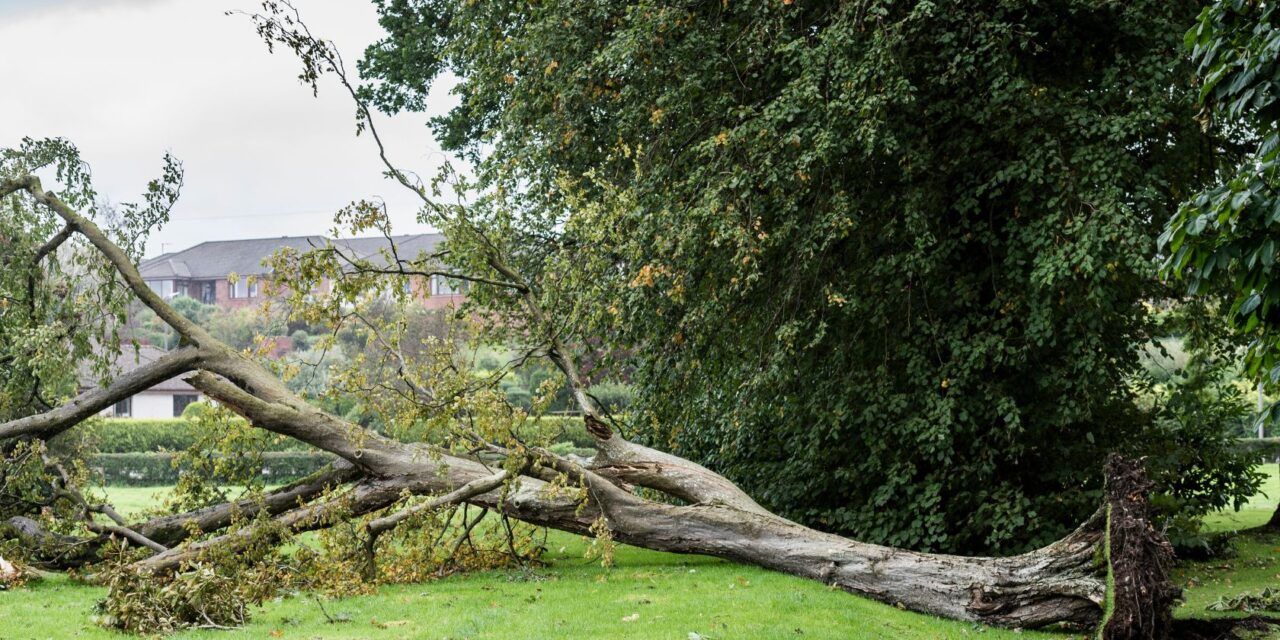 Roofing Advice for Windy Weather